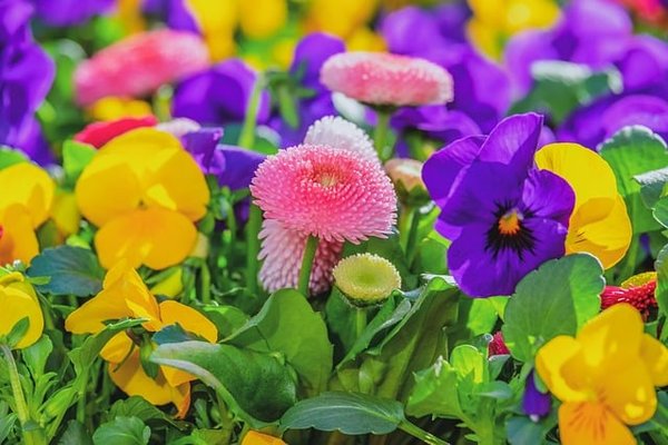 Quelles sont les astuces pour une décoration florale économique ?