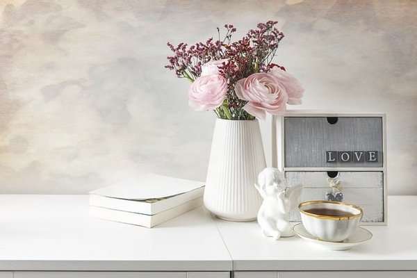Comment choisir les bonnes plantes pour une décoration d'intérieur ?