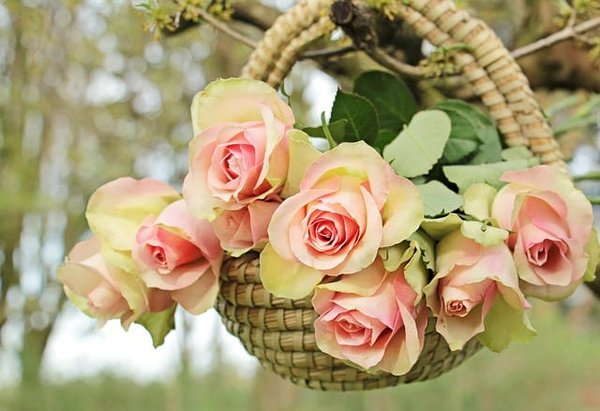 Quels arrangements floraux pour une soirée de Saint-Valentin inoubliable ?