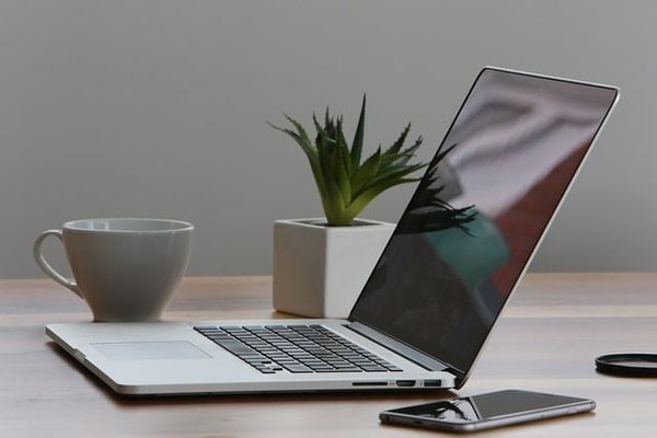 Comment intégrer des plantes vertes dans une décoration de bureau ?